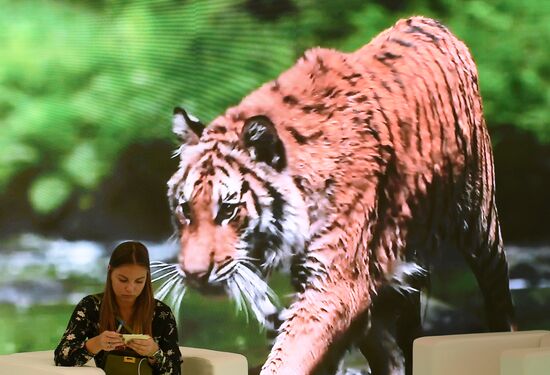 Russia Eastern Economic Forum