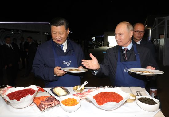 President Putin's working trip to Far Eastern Federal District. Day two