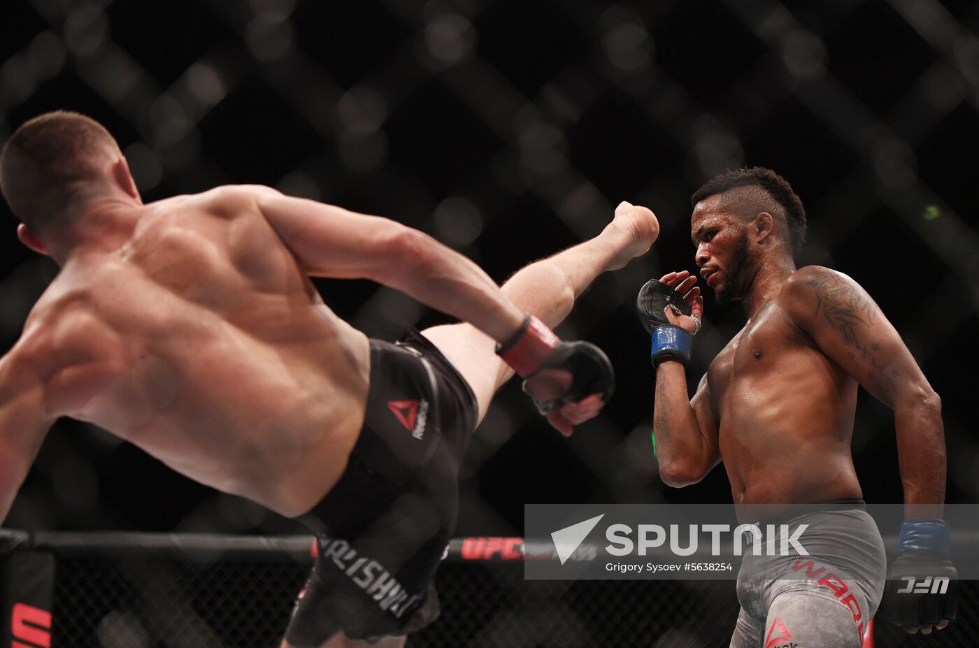 Russia UFC Fight Night