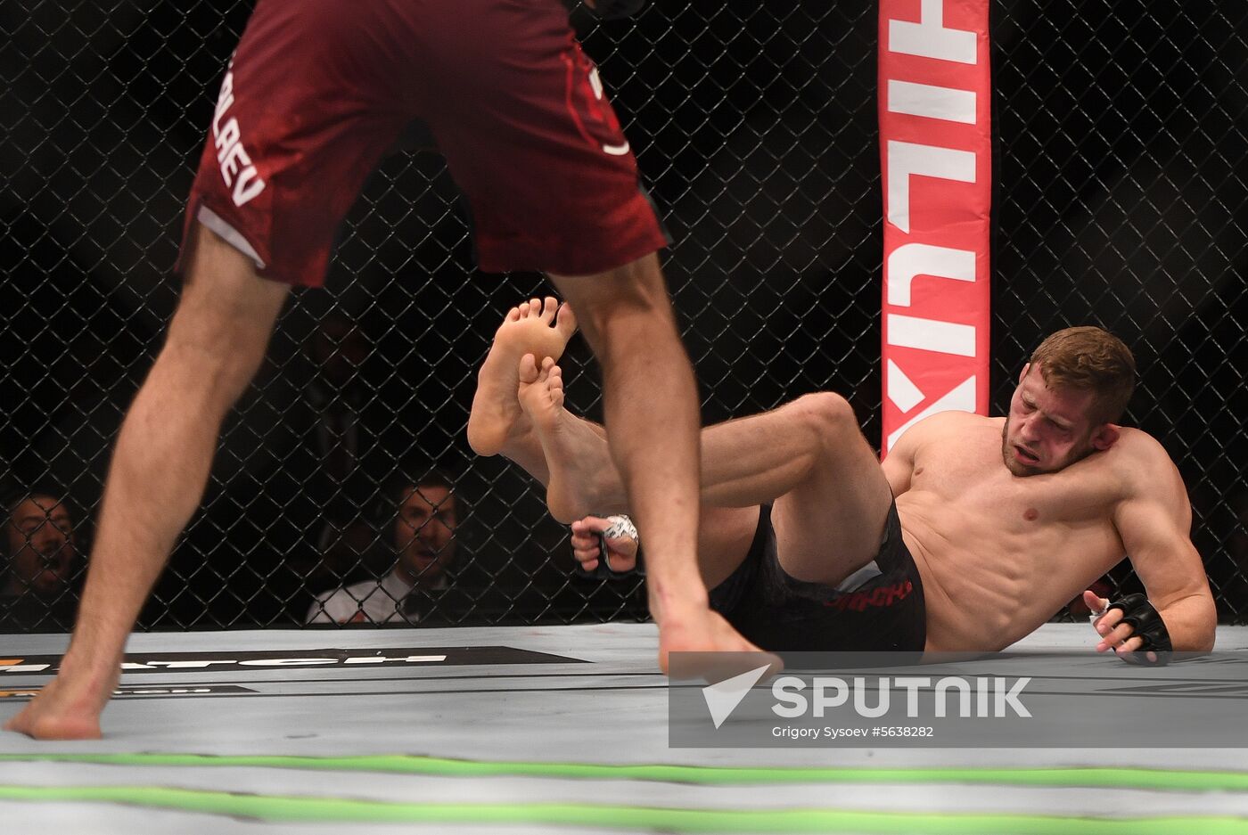 Russia UFC Fight Night