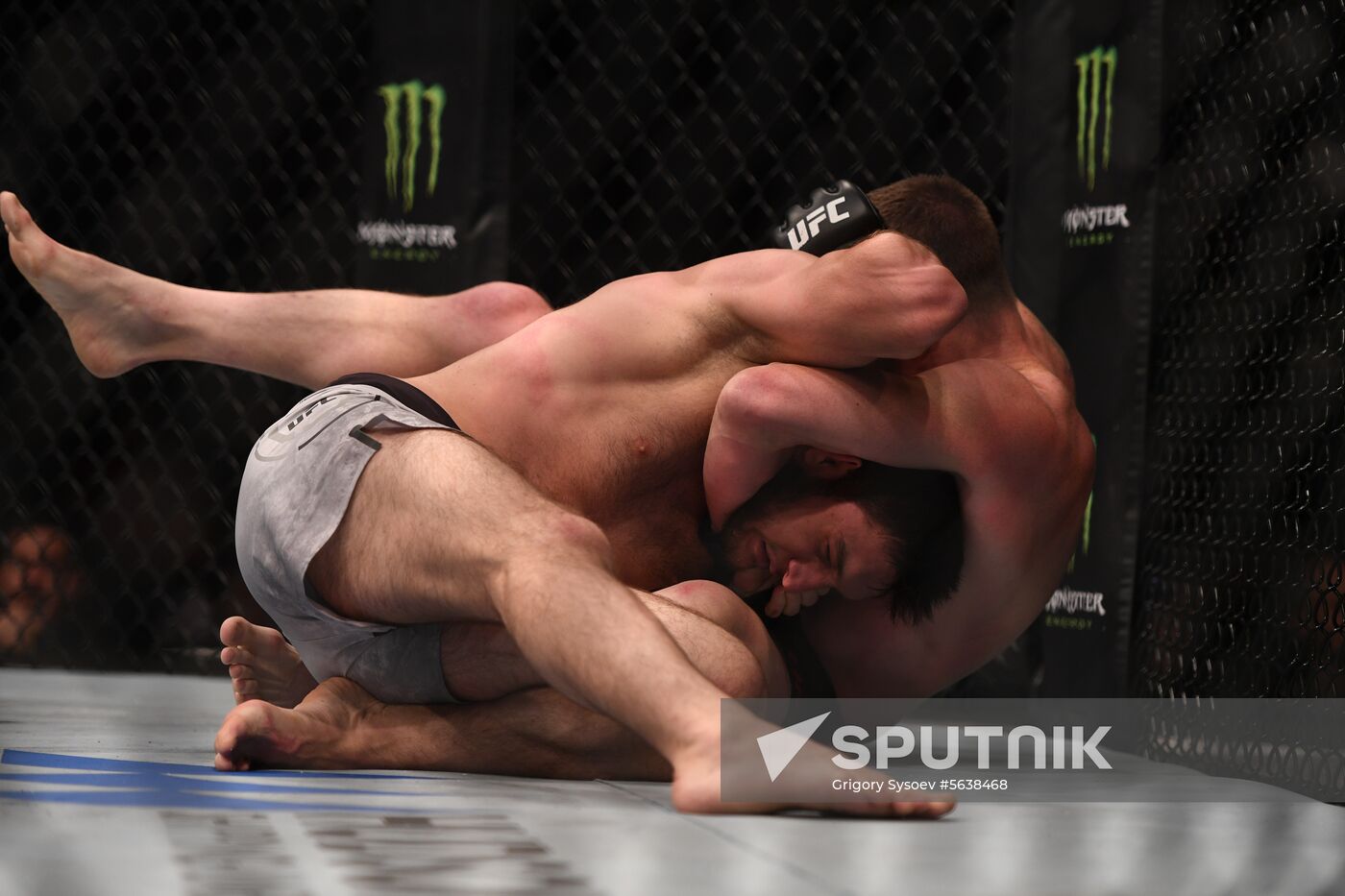 Russia UFC Fight Night