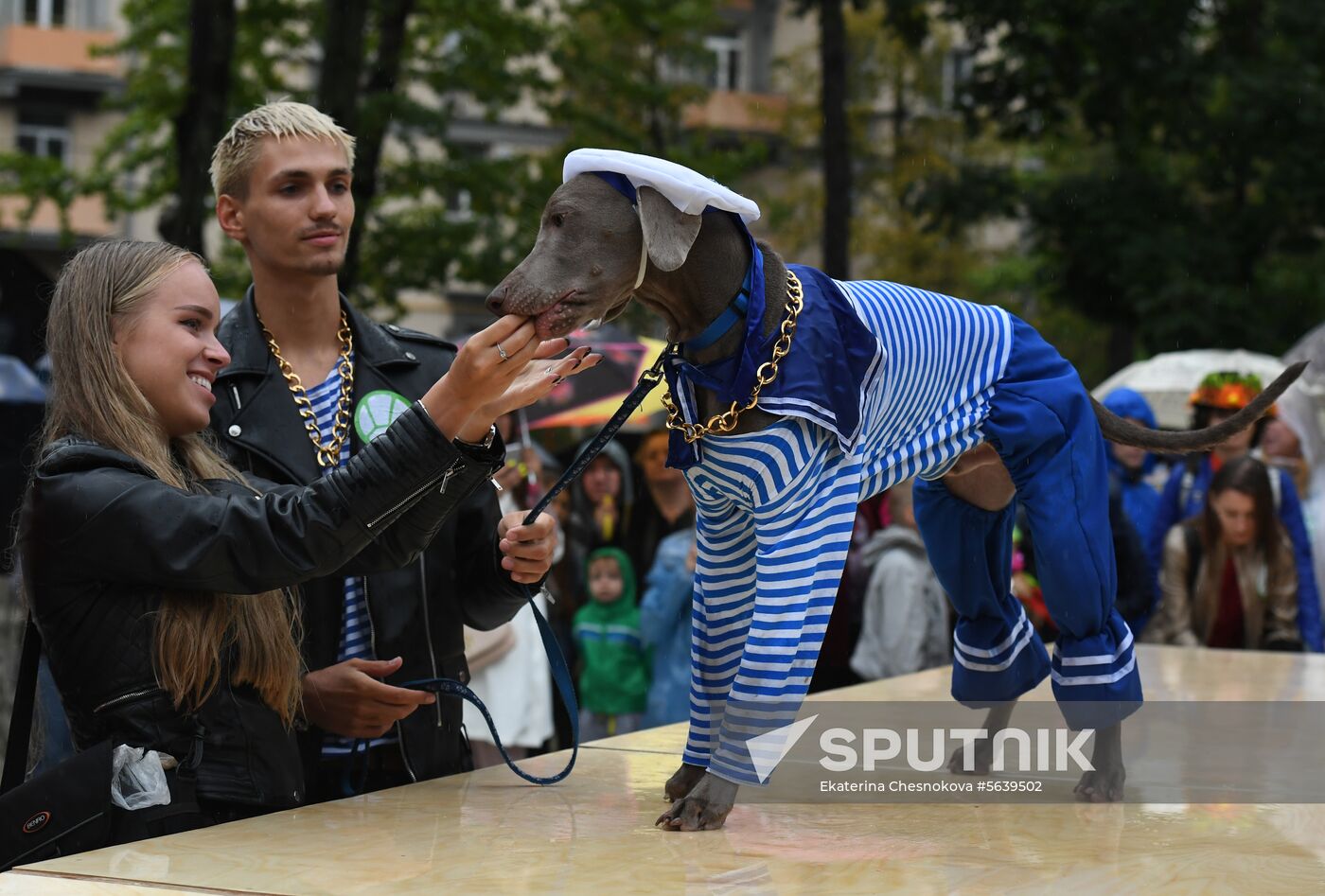 Russia Dog Show