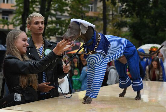 Russia Dog Show