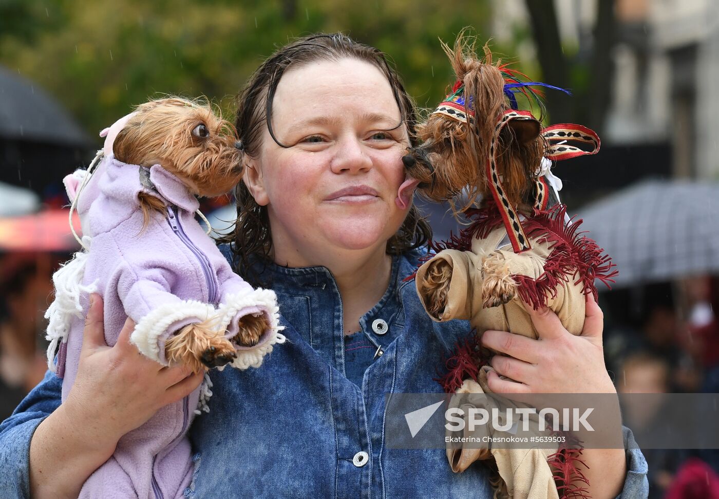 Russia Dog Show