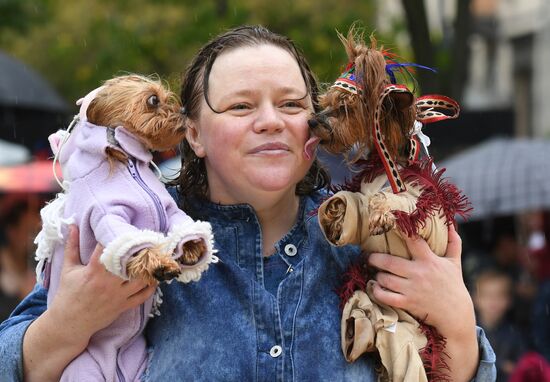 Russia Dog Show