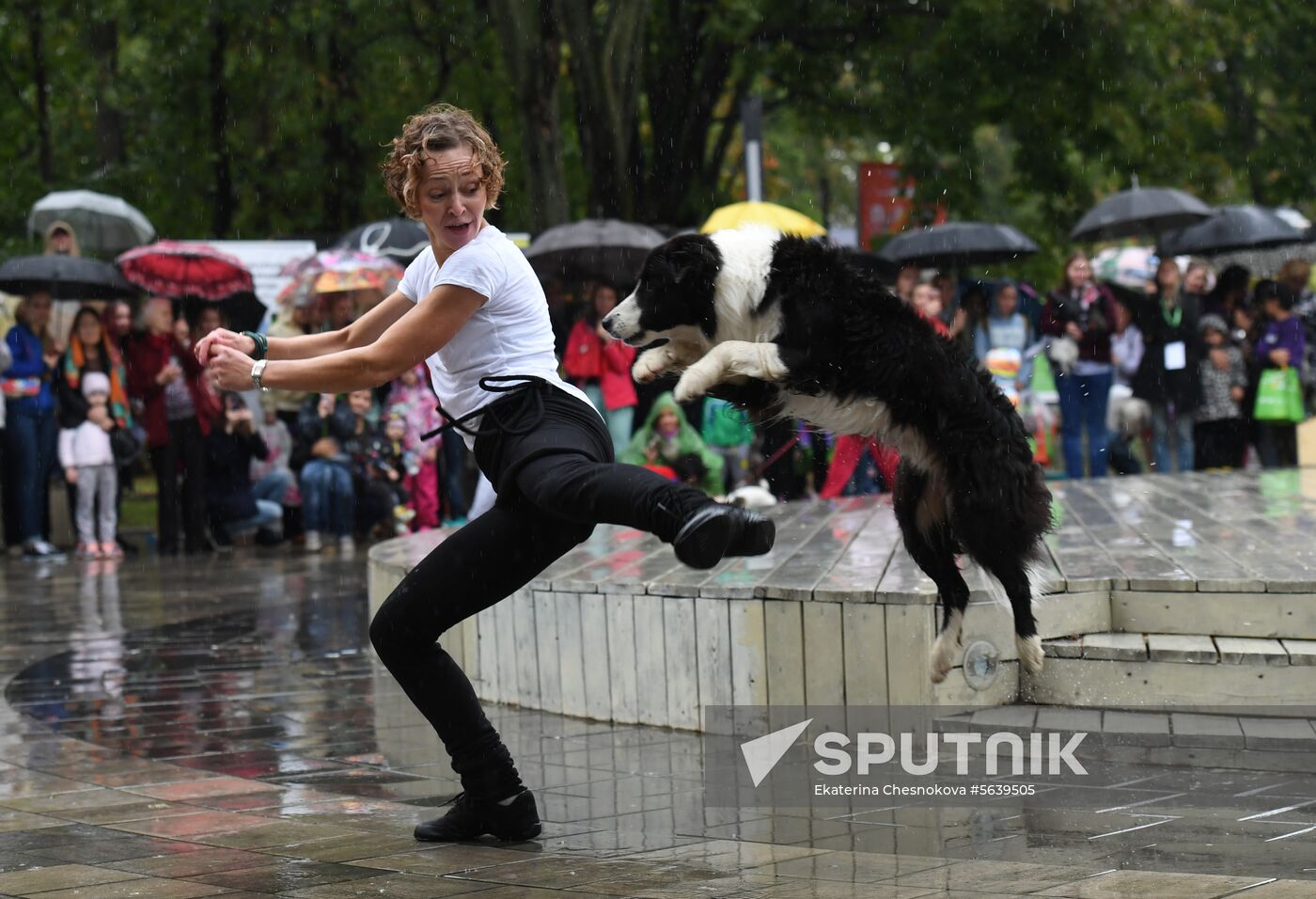 Russia Dog Show