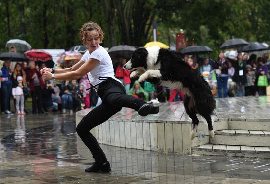 Russia Dog Show