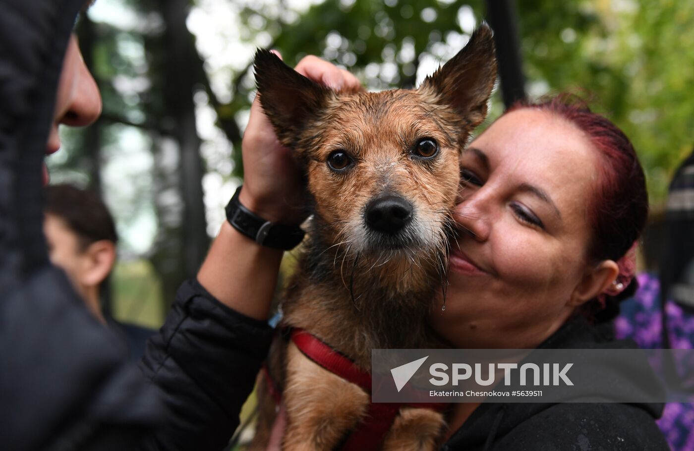 Russia Dog Show