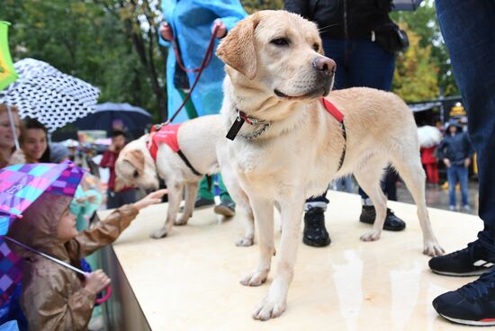 Russia Dog Show