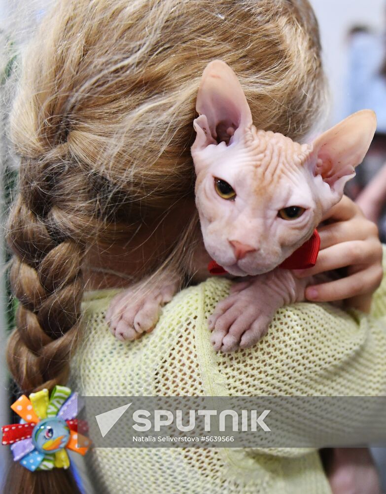 Russia Cat Show