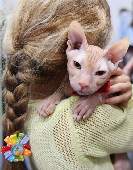 Russia Cat Show