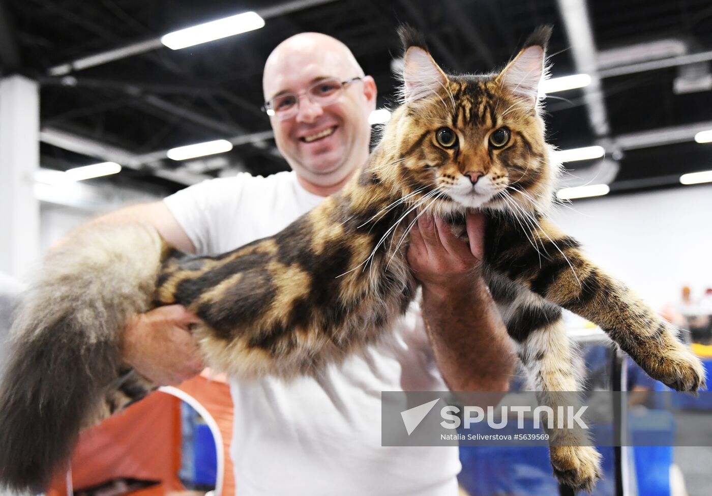 Russia Cat Show