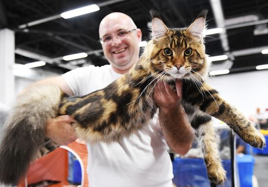 Russia Cat Show