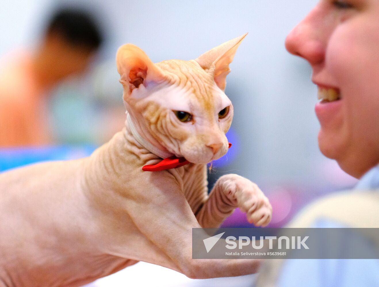 Russia Cat Show