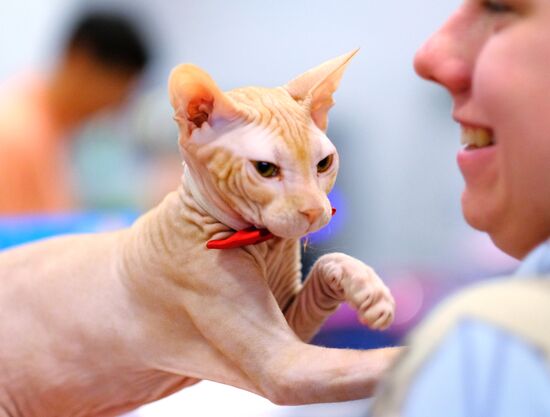 Russia Cat Show