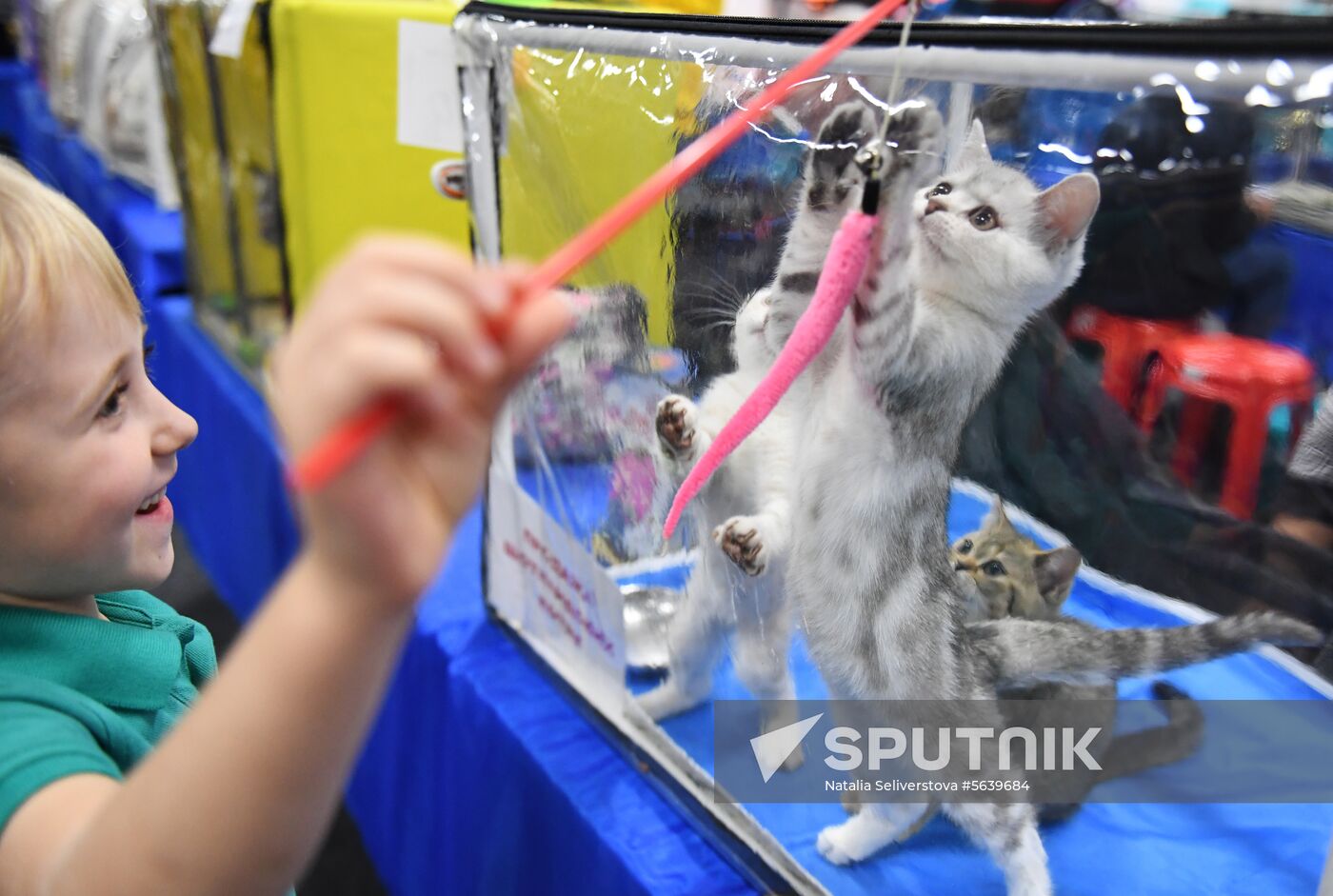Russia Cat Show