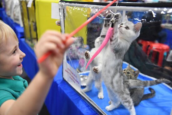 Russia Cat Show