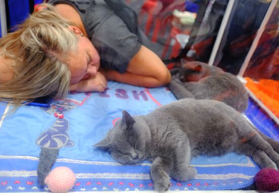 Russia Cat Show