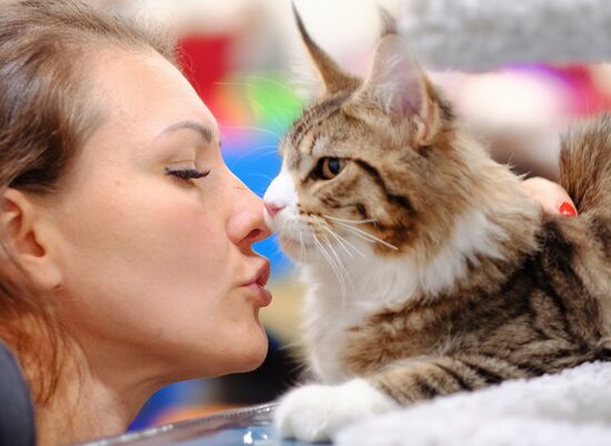 Russia Cat Show