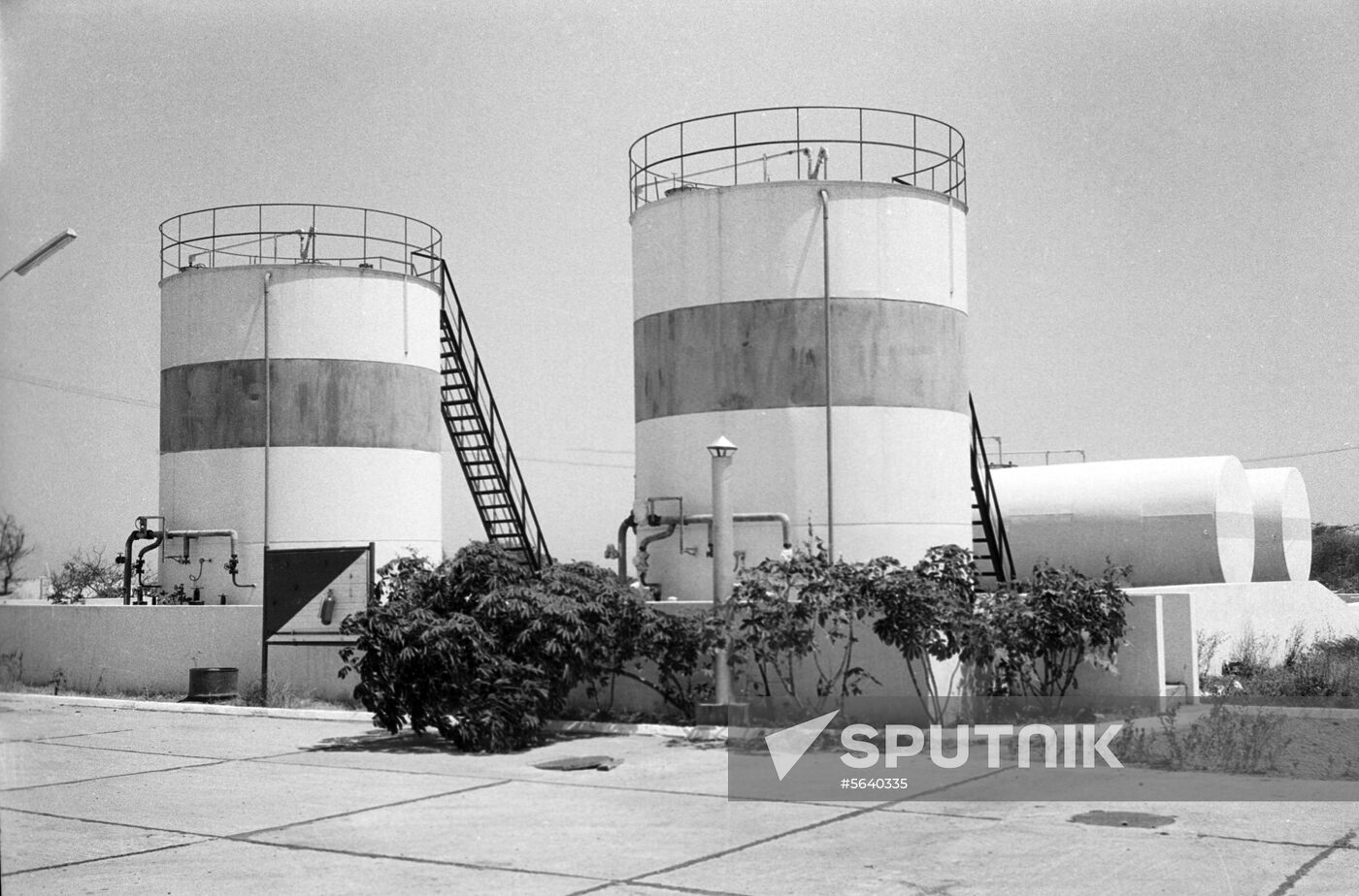 Meat processing plant in Kismaayo