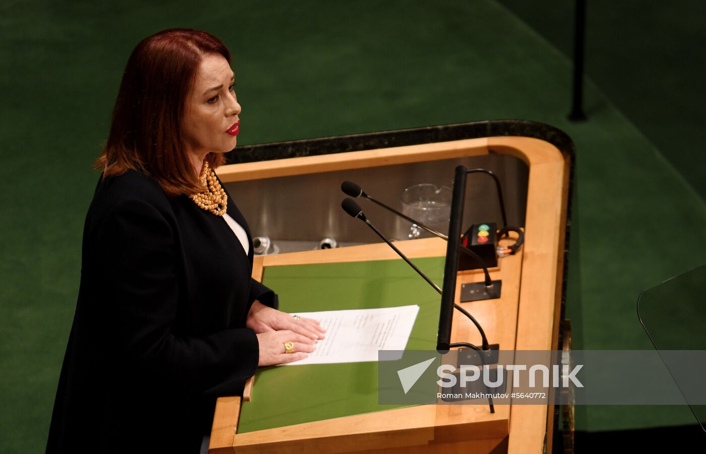 United Nations General Assembly