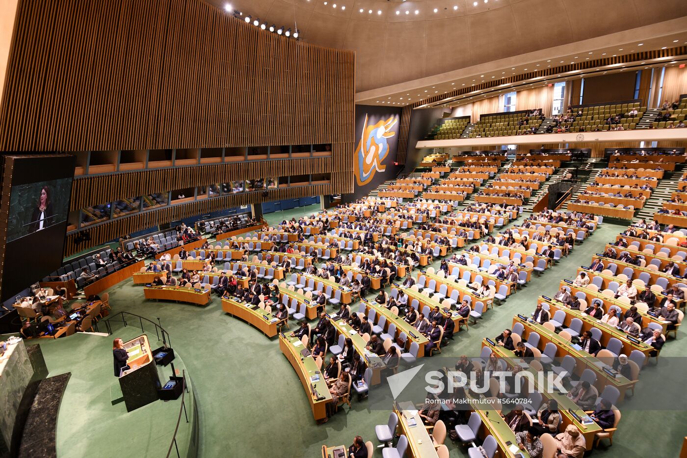 United Nations General Assembly