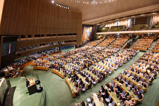 United Nations General Assembly