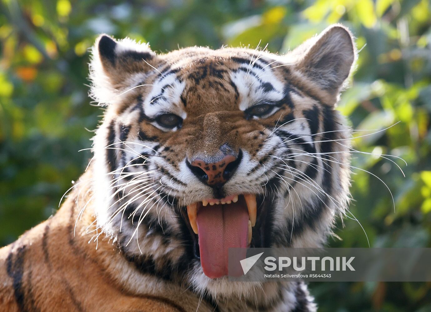 Russia Moscow Zoo