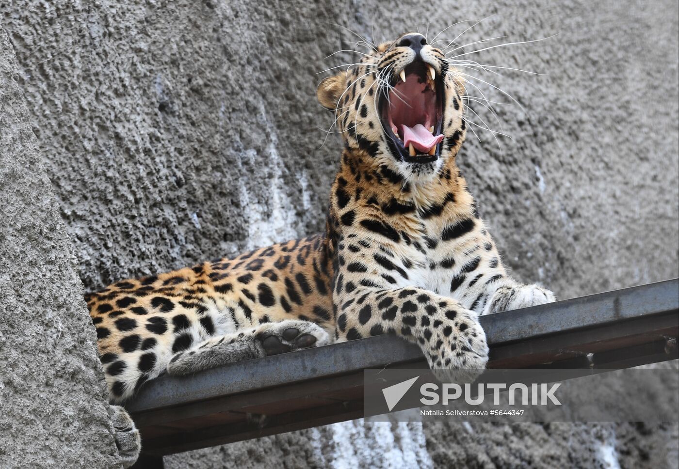 Russia Moscow Zoo