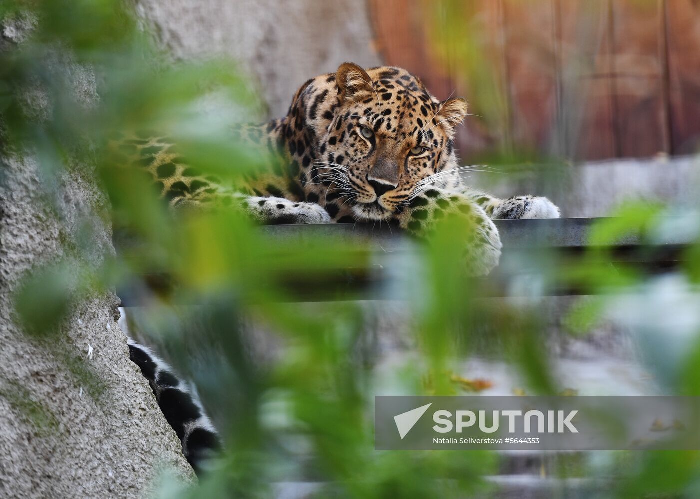 Russia Moscow Zoo