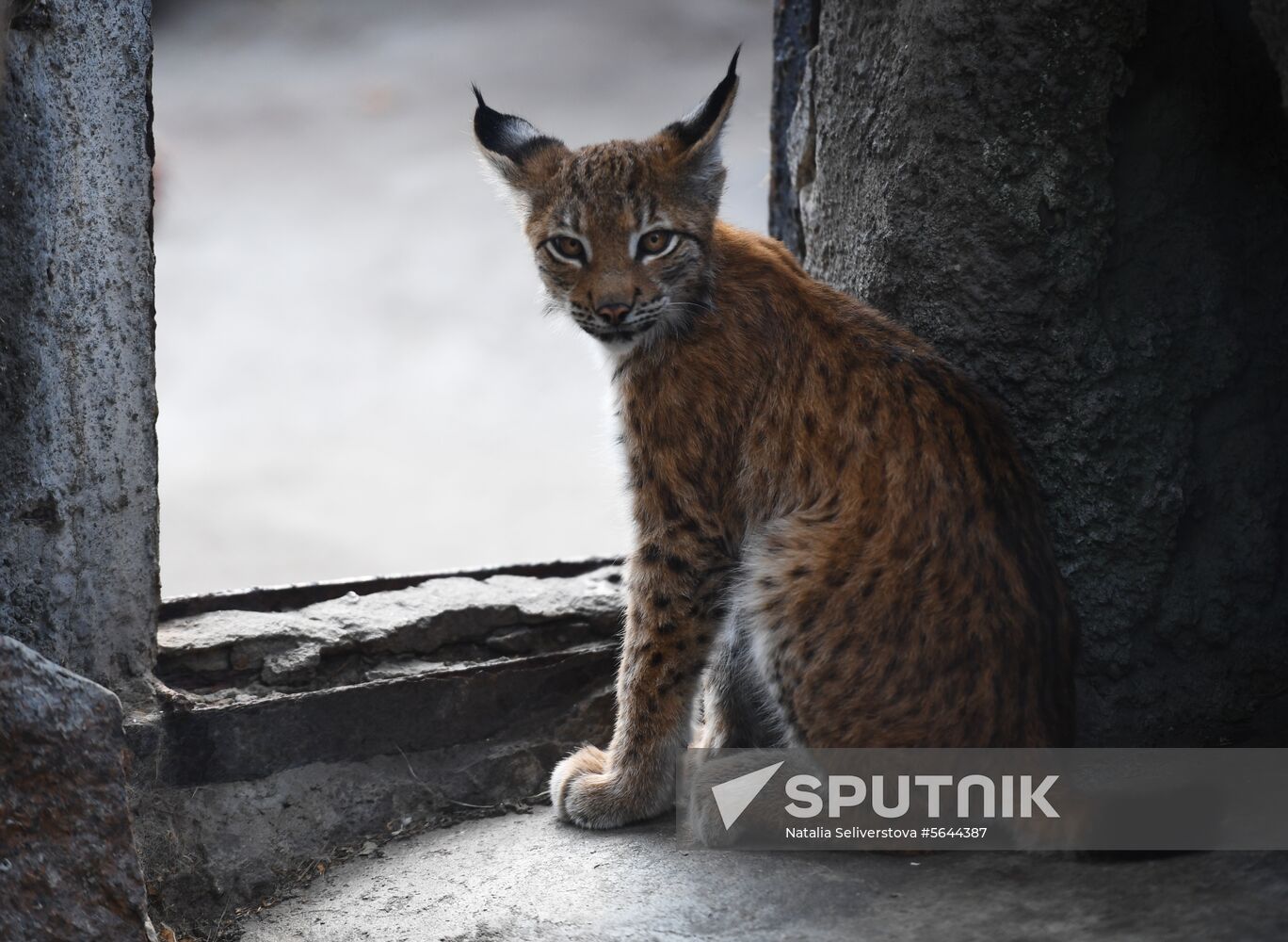 Russia Moscow Zoo