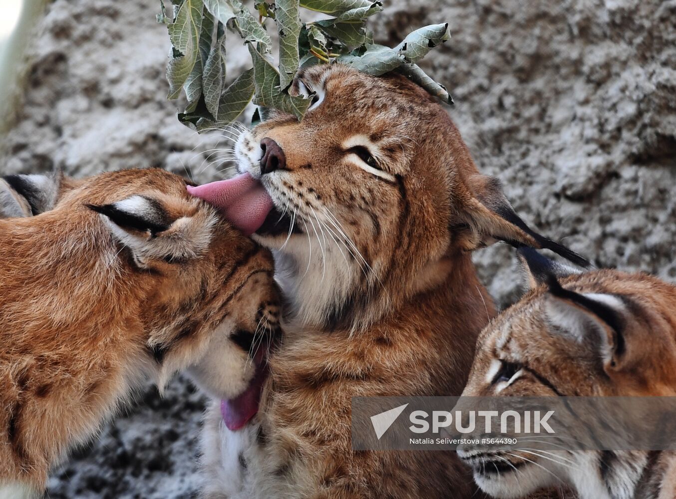 Russia Moscow Zoo
