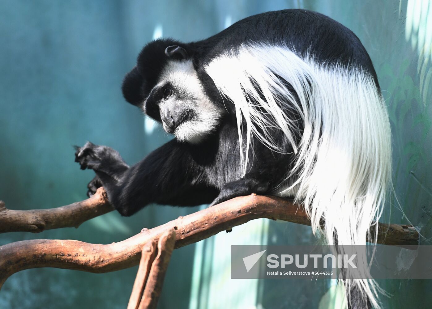 Russia Moscow Zoo