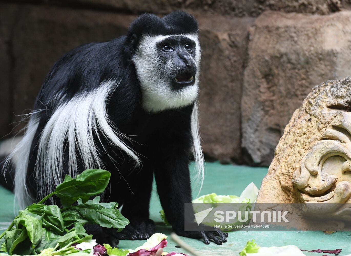Russia Moscow Zoo
