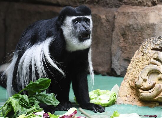 Russia Moscow Zoo