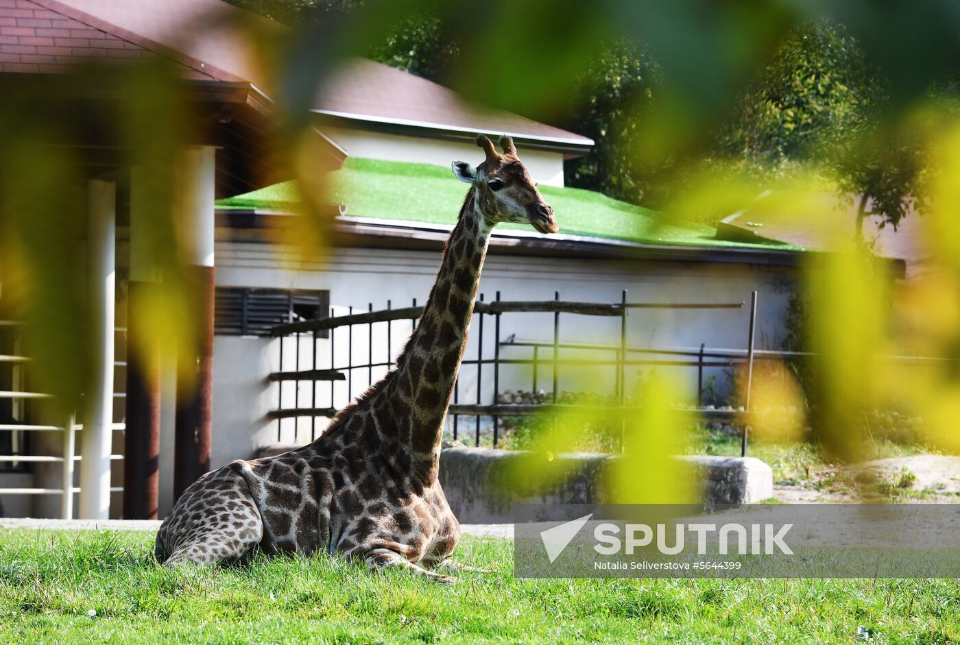 Russia Moscow Zoo