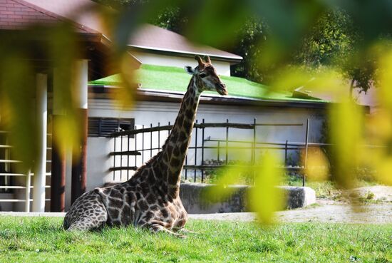 Russia Moscow Zoo