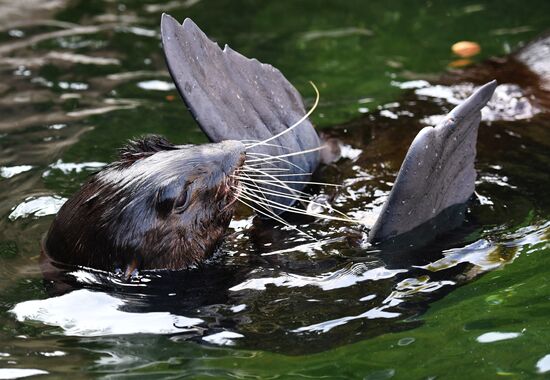 Russia Moscow Zoo