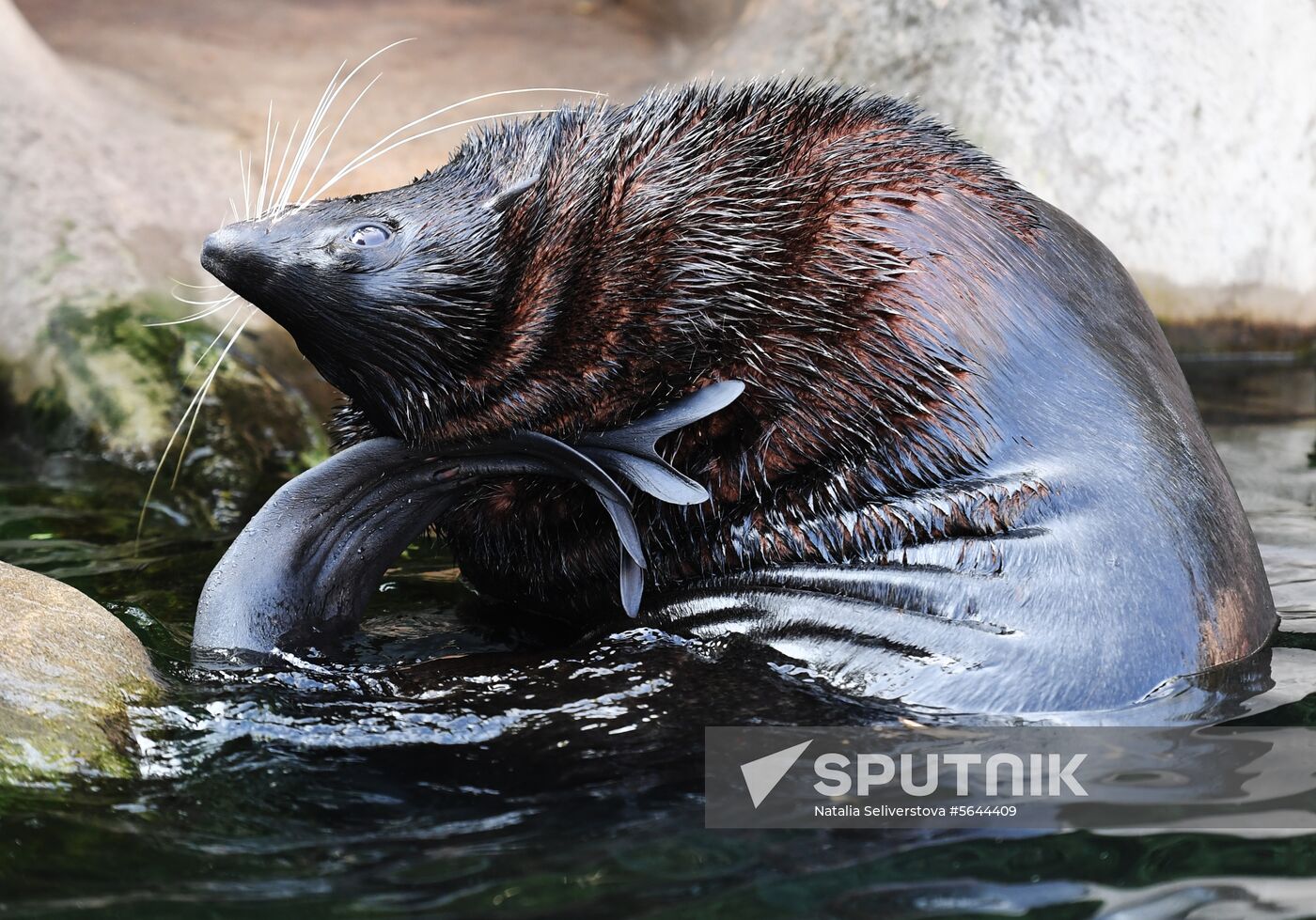 Russia Moscow Zoo