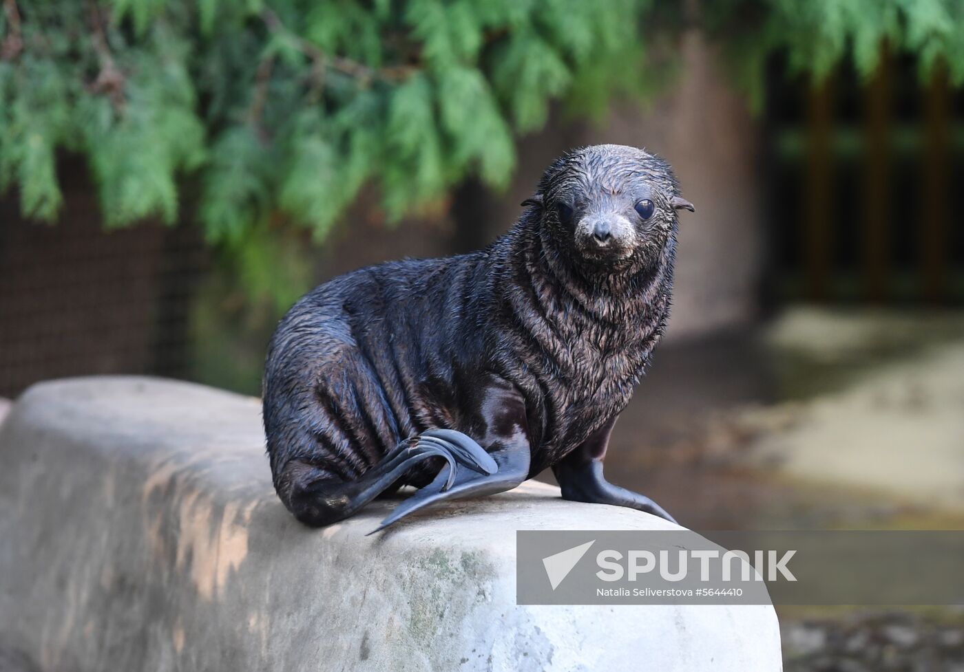Russia Moscow Zoo