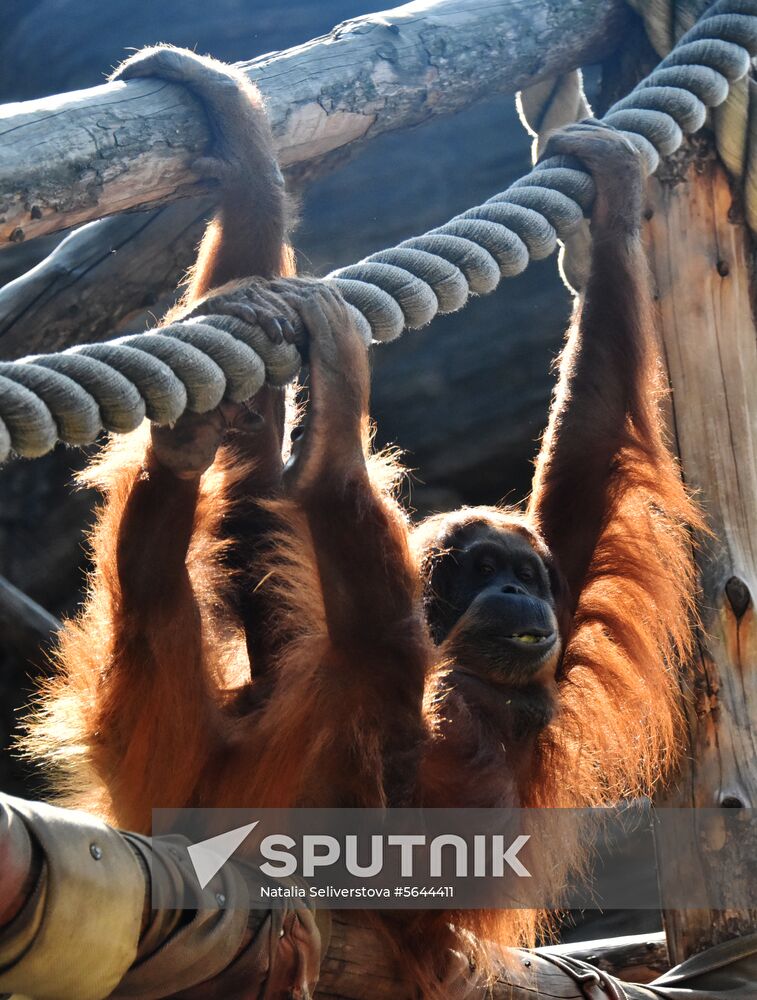 Russia Moscow Zoo