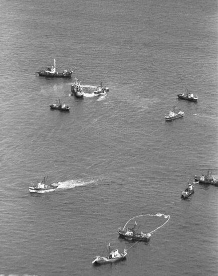 Seiner boats