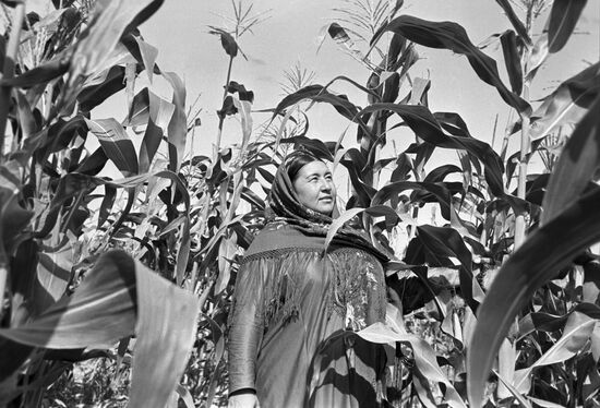 Communist collective farm in Mary Region