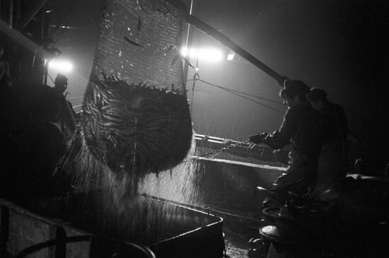 Fishing fleet