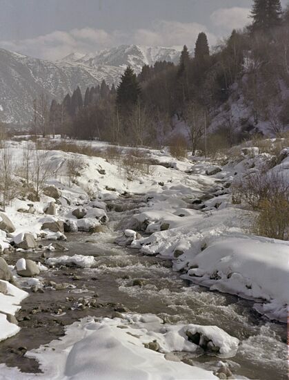 Spring in Trans-Ili Alatau mountains