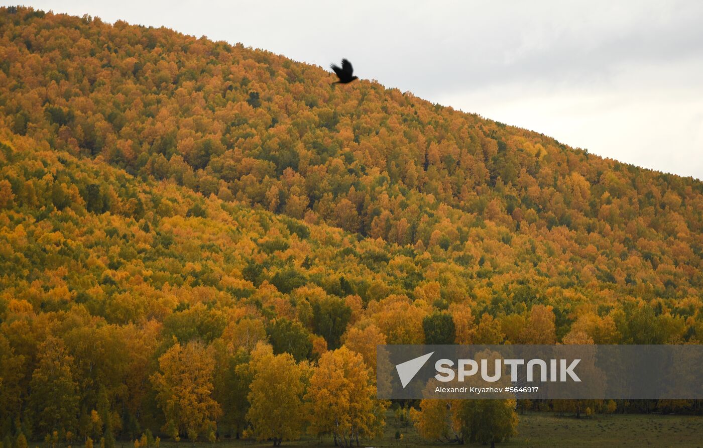 Russia Siberia