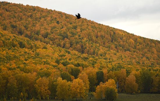 Russia Siberia