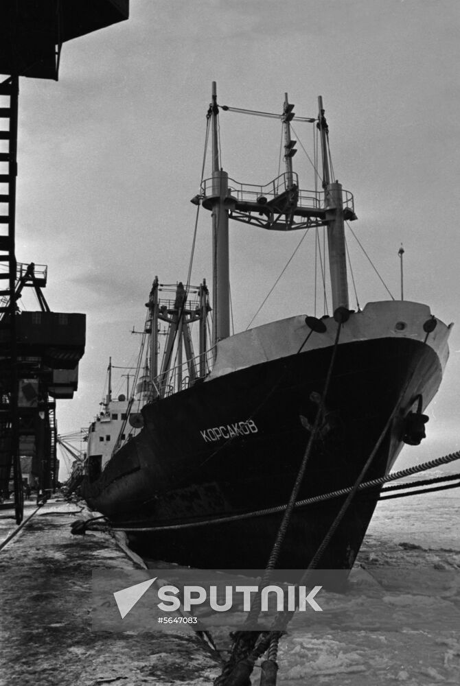 Korsakov bulk carrier