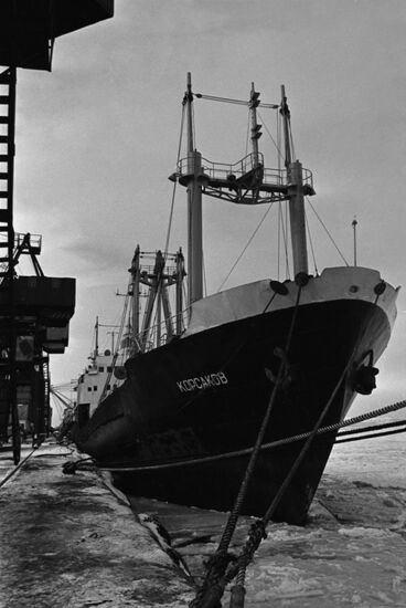 Korsakov bulk carrier