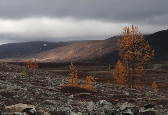 Russia Polar Urals
